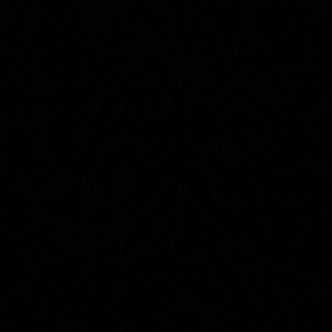 Meet your Posher, Shane